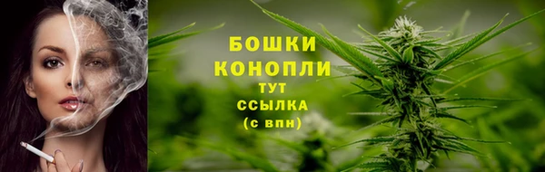 соль ск Михайлов
