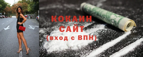 соль ск Михайлов
