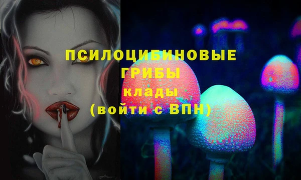 spice Мегион