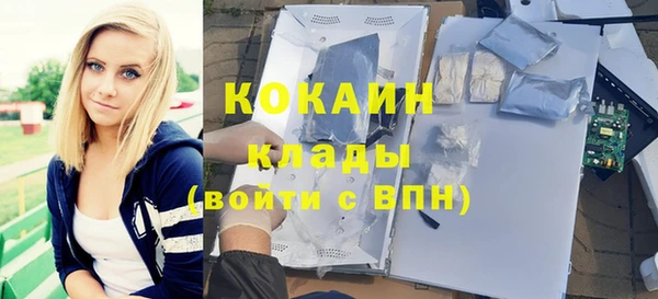 соль ск Михайлов
