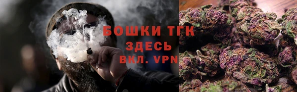 соль ск Михайлов