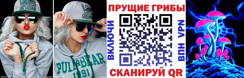 где купить наркоту  кракен зеркало  Галлюциногенные грибы прущие грибы  Ковылкино 